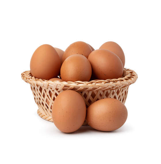 VF Paysage - Création & Entretien à Angers